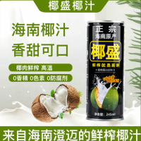 海南特產(chǎn)椰盛生榨椰子汁245ml*24罐椰汁