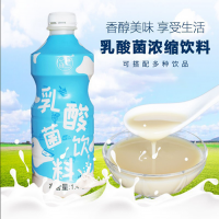 大拇指乳酸菌酸原味濃縮益生菌奶茶店專用