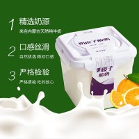 蒙伊醇酸奶 900g*2桶低溫冷藏雙皮奶兒童營養(yǎng)活菌原味